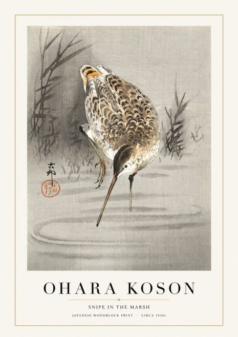 Ohara Koson Snipe in the Marsh No1 - Poszter