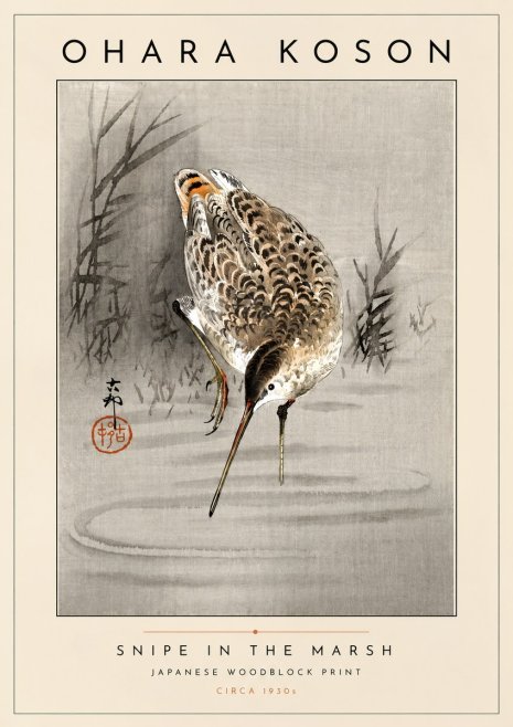 Ohara Koson Snipe in the Marsh No4 - Poszter