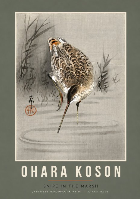 Ohara Koson Snipe in the Marsh No5 - Poszter