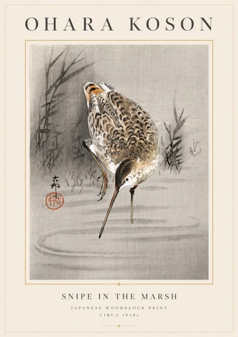 Ohara Koson Snipe in the Marsh No6 - Poszter