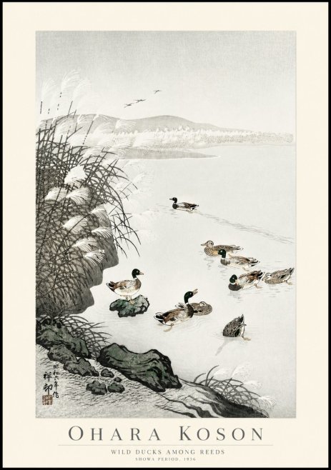 Ohara Koson Wild Ducks Among Reeds No1 - Poszter
