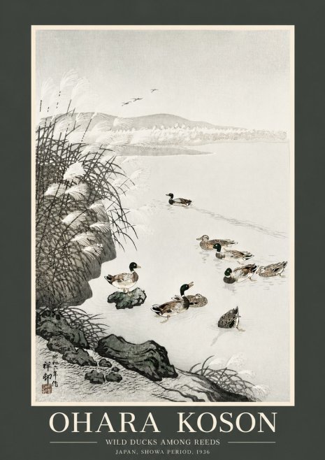Ohara Koson Wild Ducks Among Reeds No2 - Poszter