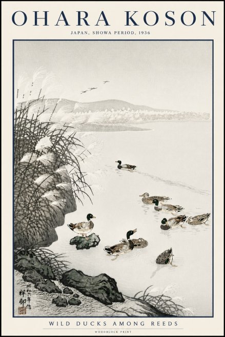 Ohara Koson Wild Ducks Among Reeds No3 - Poszter