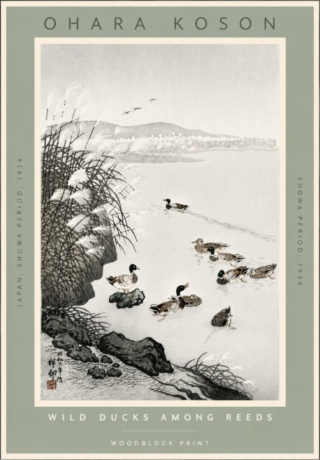 Ohara Koson Wild Ducks Among Reeds No4 - Poszter