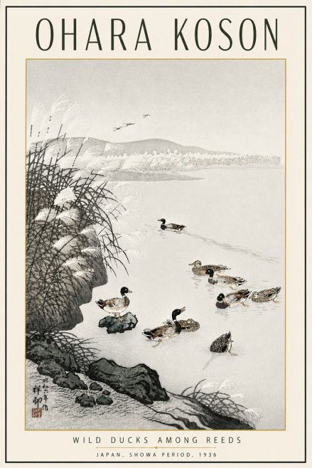 Ohara Koson Wild Ducks Among Reeds No5 - Poszter