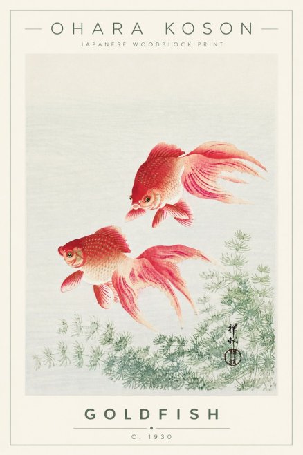 Ohara Koson Goldfish No4 - Poszter