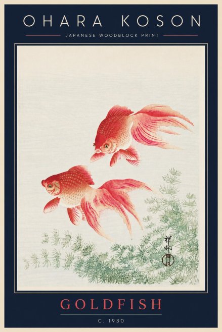 Ohara Koson Goldfish No5 - Poszter