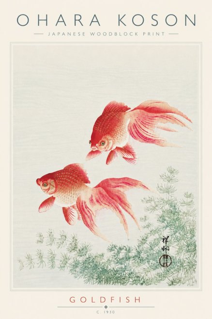 Ohara Koson Goldfish No6 - Poszter