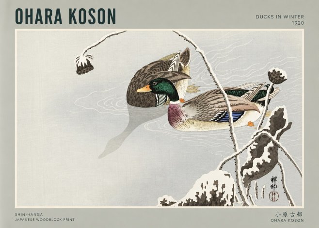 Ohara Koson Ducks in Winter No3 - Poszter