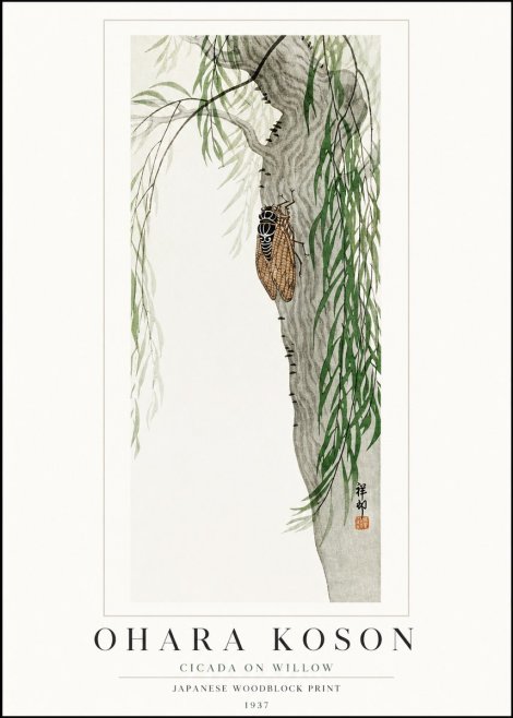 Ohara Koson Cicada on Willow No1 - Poszter