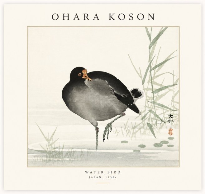 Ohara Koson Water Bird No1 - Poszter