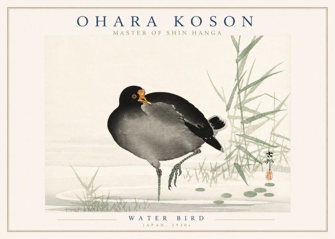 Ohara Koson Water Bird No3 - Poszter