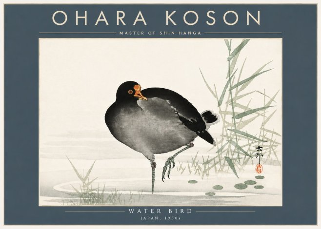 Ohara Koson Water Bird No5 - Poszter