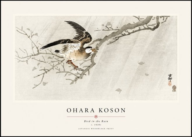 Ohara Koson Bird in the Rain No1 - Poszter