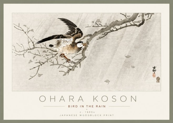 Ohara Koson Bird in the Rain No3 - Poszter