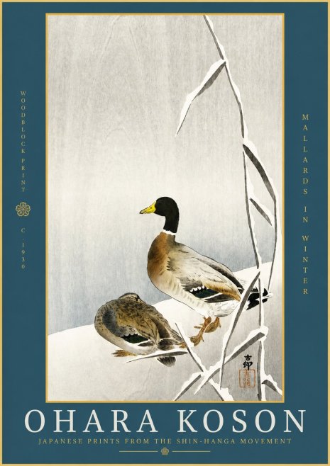 Ohara Koson Mallards in Winter No2 - Poszter