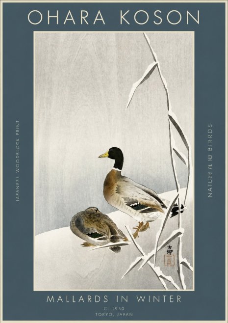 Ohara Koson Mallards in Winter No3 - Poszter