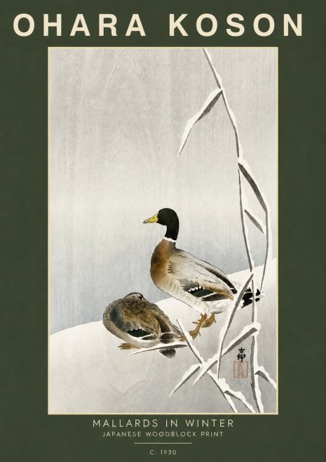 Ohara Koson Mallards in Winter No5 - Poszter