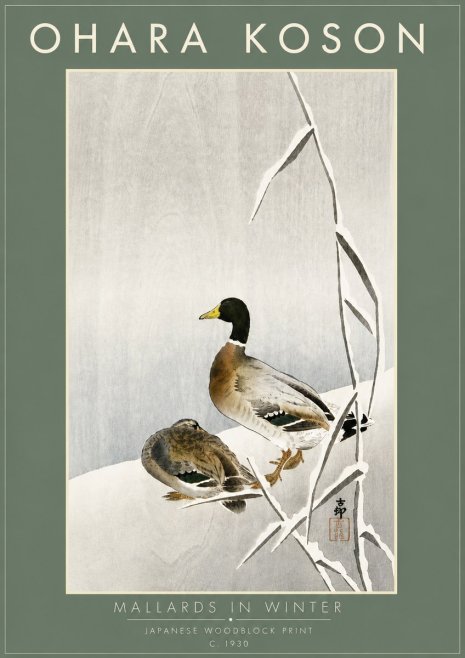 Ohara Koson Mallards in Winter No6 - Poszter