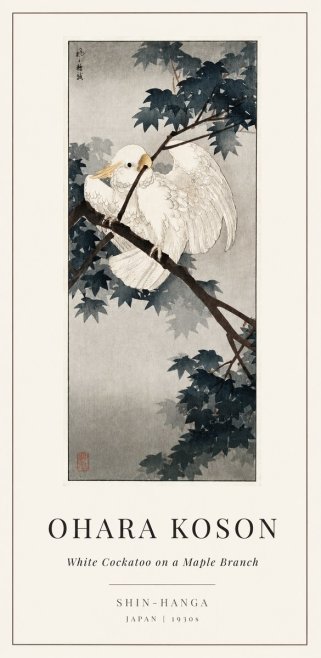 Ohara Koson White Cockatoo on a Maple Branch No1 - Poszter