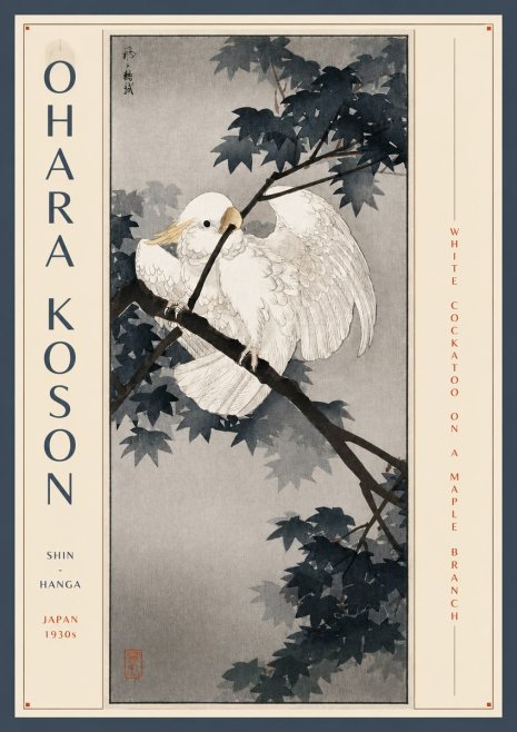 Ohara Koson White Cockatoo on a Maple Branch No3 - Poszter