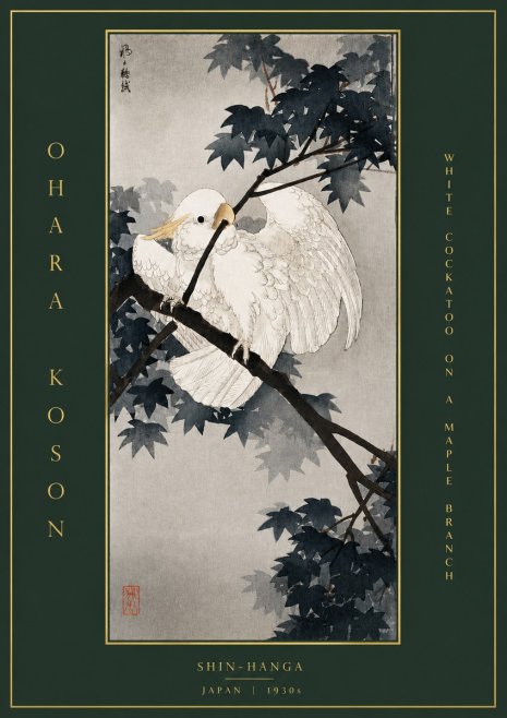 Ohara Koson White Cockatoo on a Maple Branch No5 - Poszter