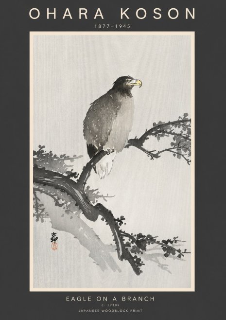 Ohara Koson Eagle on a Branch I No3 - Poszter