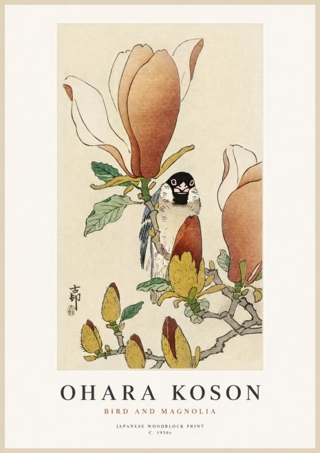 Ohara Koson Bird and Magnolia No1 - Poszter