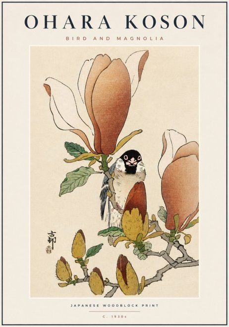Ohara Koson Bird and Magnolia No6 - Poszter