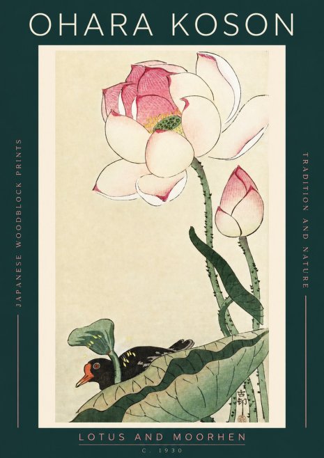 Ohara Koson Lotus and Moorhen No2 - Poszter