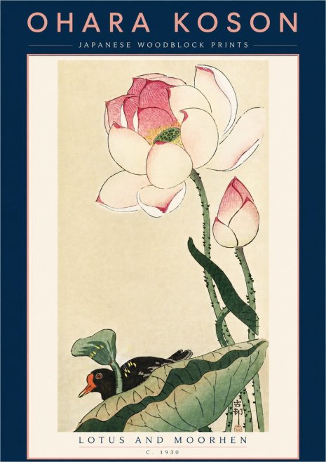 Ohara Koson Lotus and Moorhen No5 - Poszter