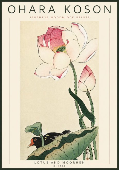 Ohara Koson Lotus and Moorhen No6 - Poszter