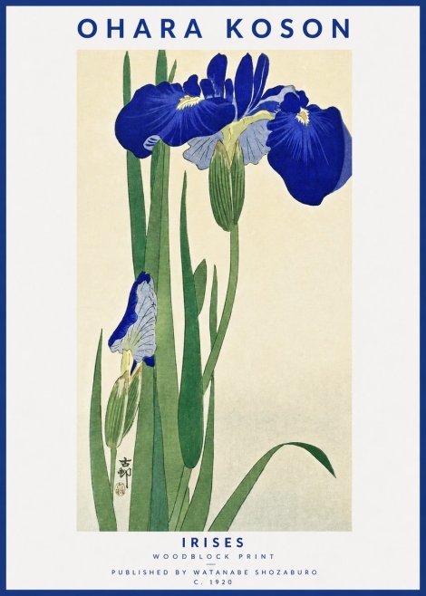 Ohara Koson Irises I No3 - Poszter