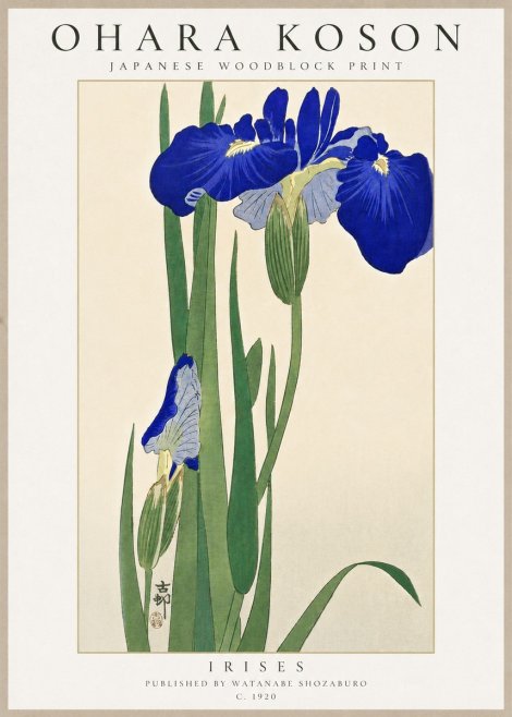 Ohara Koson Irises I No6 - Poszter