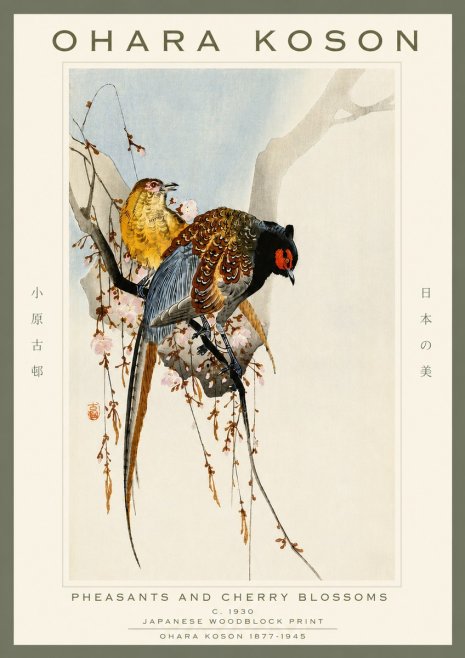 Ohara Koson Pheasants and Cherry Blossoms I No4 - Poszter
