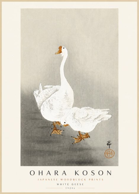 Ohara Koson White Geese No3 - Poszter