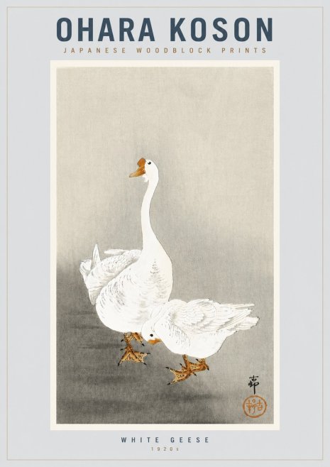 Ohara Koson White Geese No4 - Poszter