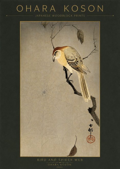 Ohara Koson Bird and Spider Web I No2 - Poszter