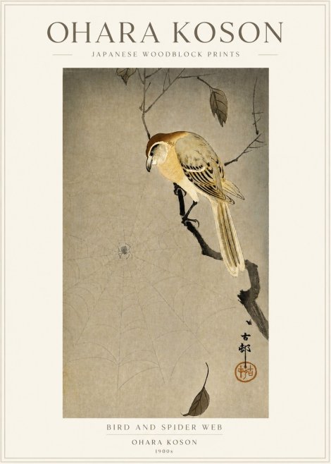 Ohara Koson Bird and Spider Web I No3 - Poszter