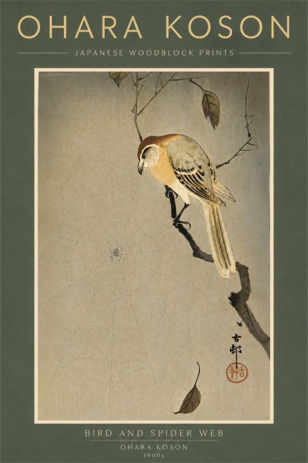 Ohara Koson Bird and Spider Web I No6 - Poszter