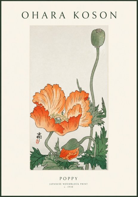 Ohara Koson Poppy No1 - Poszter
