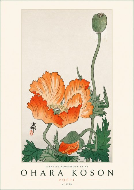 Ohara Koson Poppy No3 - Poszter