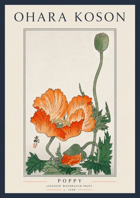 Ohara Koson Poppy No5 - Poszter
