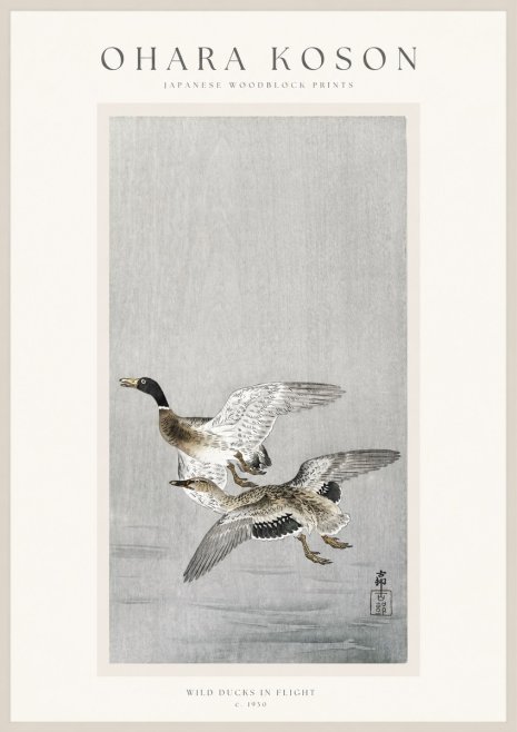 Ohara Koson Wild Ducks in Flight No1 - Poszter