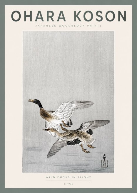 Ohara Koson Wild Ducks in Flight No2 - Poszter