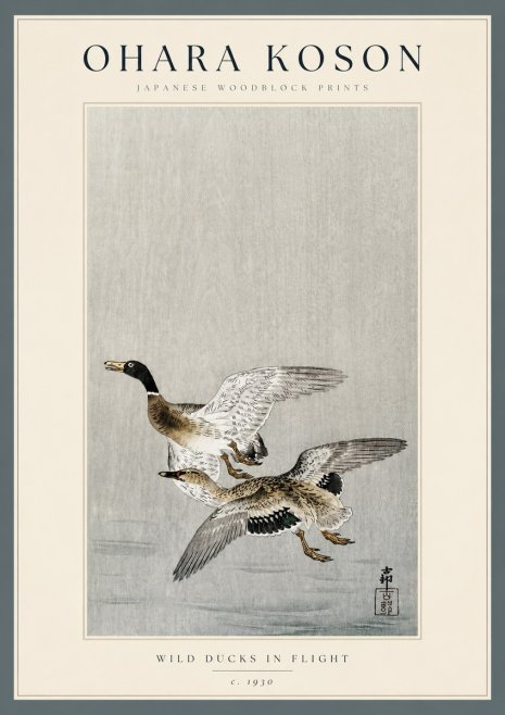 Ohara Koson Wild Ducks in Flight No3 - Poszter
