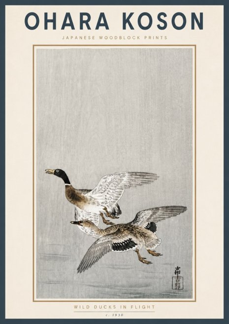 Ohara Koson Wild Ducks in Flight No4 - Poszter