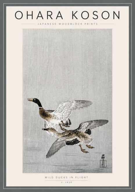 Ohara Koson Wild Ducks in Flight No5 - Poszter