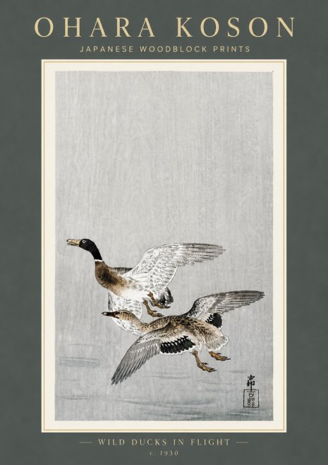Ohara Koson Wild Ducks in Flight No6 - Poszter