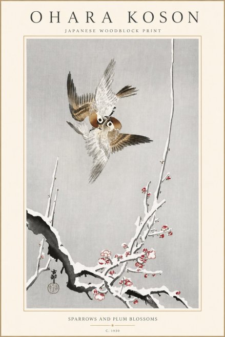 Ohara Koson Sparrows and Plum Blossoms No4 - Poszter